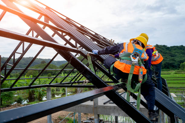 Best Roof Gutter Cleaning  in Bridgman, MI