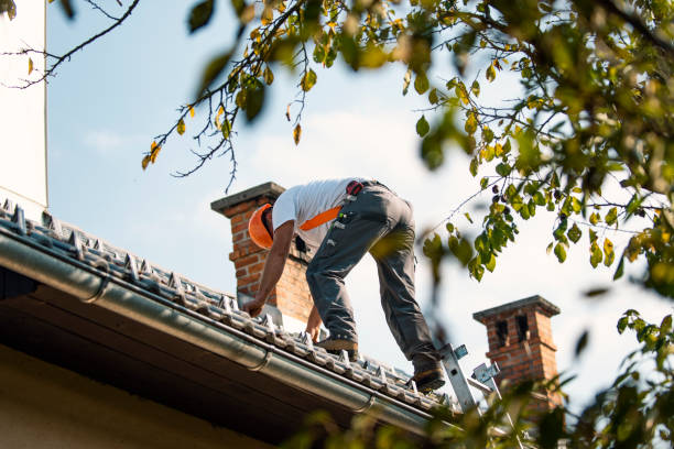 Best Roof Waterproofing Services  in Bridgman, MI