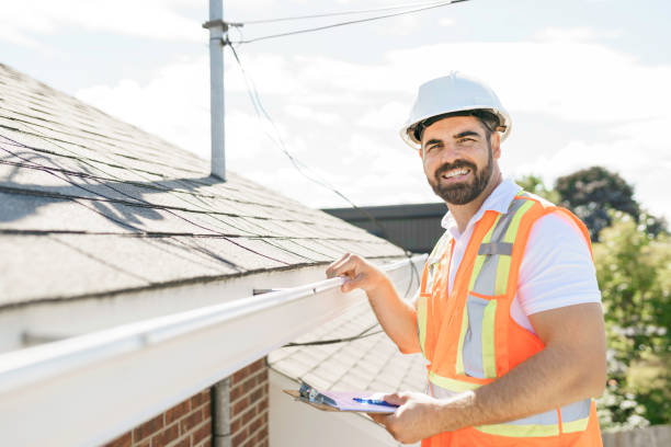 Roof Gutter Cleaning in Bridgman, MI