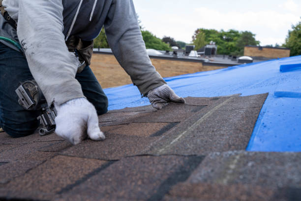 Best Sealant for Roof  in Bridgman, MI