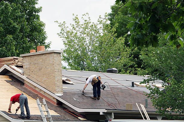 Best Roof Maintenance Services  in Bridgman, MI