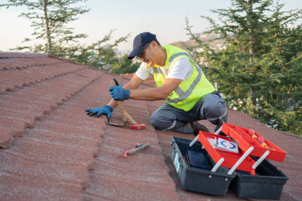 Best Flat Roof Repair Services  in Bridgman, MI