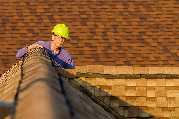 Best Roof Leak Repair  in Bridgman, MI